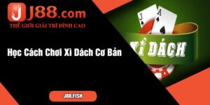 Học Cách Chơi Xì Dách Cơ Bản