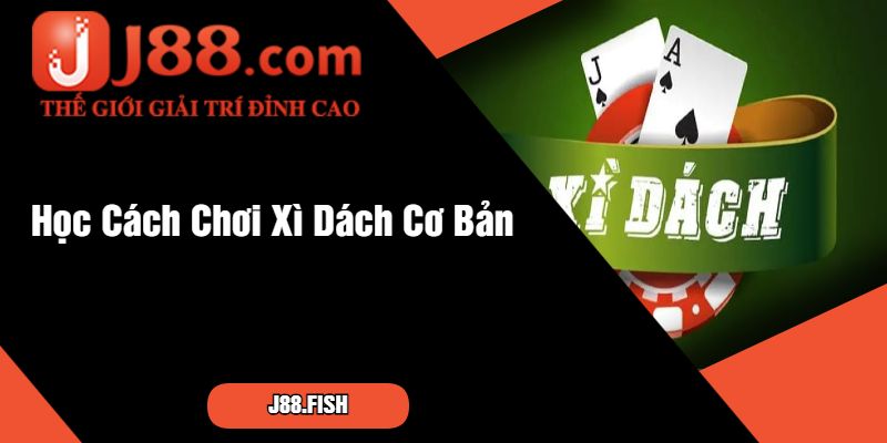 Học Cách Chơi Xì Dách Cơ Bản